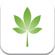 Elylis - Natural Health & Beauty logo